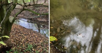 Pollution au mazout dans l’Ernage à Cortil